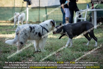 _21A0423.jpg