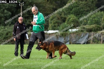 IMG_1024.jpg