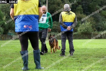 IMG_1062.jpg