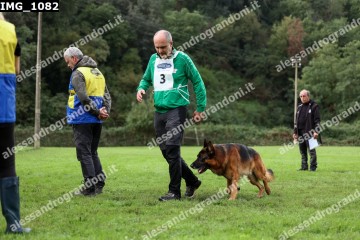 IMG_1082.jpg