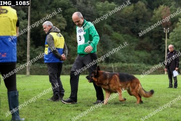 IMG_1085.jpg