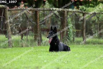 IMG_1097.jpg