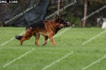 IMG_1160.jpg