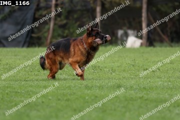 IMG_1166.jpg