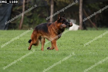 IMG_1169.jpg