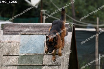 IMG_1255.jpg