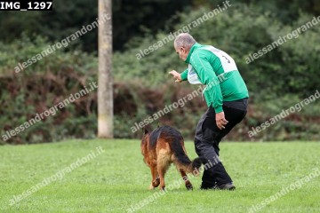 IMG_1297.jpg