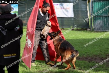 IMG_4493.jpg