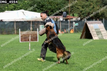 IMG_4554.jpg