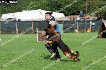 IMG_4558.jpg