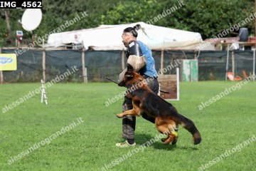 IMG_4562.jpg