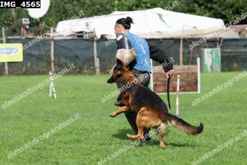 IMG_4565.jpg