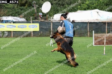IMG_4571.jpg