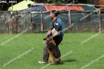 IMG_4601.jpg