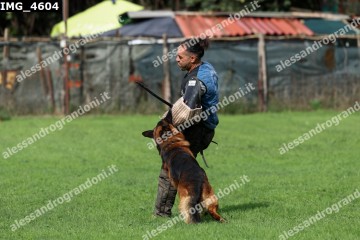 IMG_4604.jpg