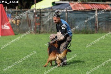 IMG_4614.jpg