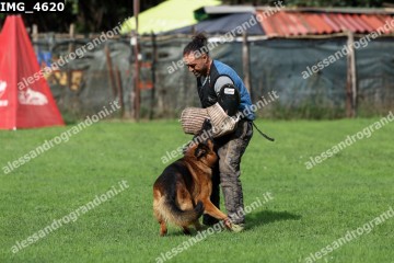 IMG_4620.jpg