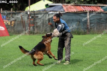 IMG_4660.jpg