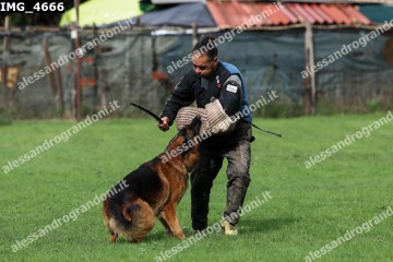 IMG_4666.jpg