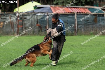 IMG_4674.jpg