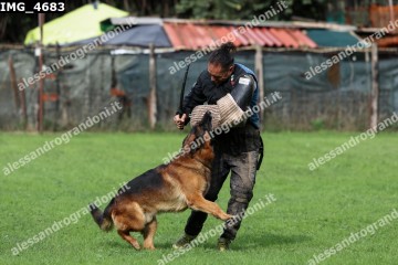 IMG_4683.jpg