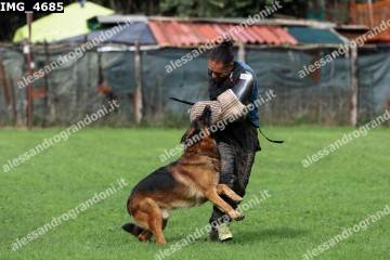 IMG_4685.jpg