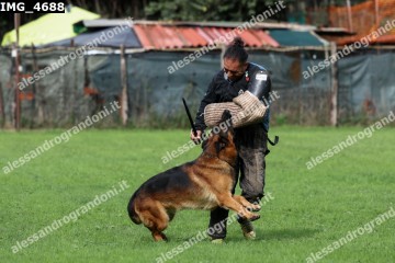 IMG_4688.jpg