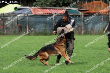 IMG_4691.jpg