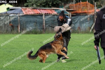IMG_4694.jpg