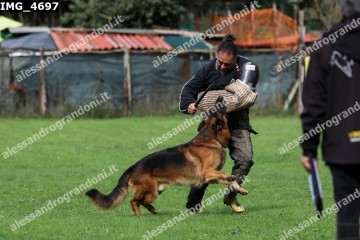 IMG_4697.jpg
