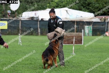 IMG_4729.jpg
