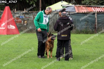 IMG_4747.jpg