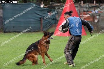 IMG_4788.jpg