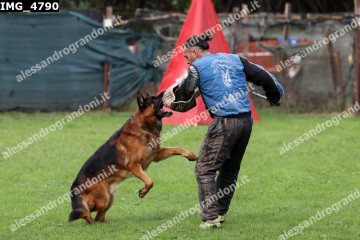 IMG_4790.jpg