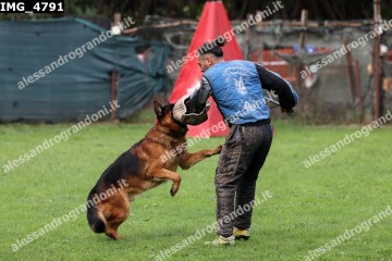 IMG_4791.jpg