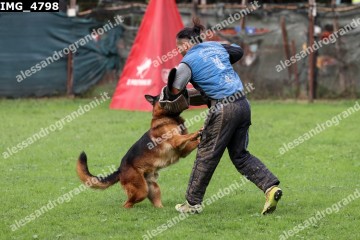 IMG_4798.jpg