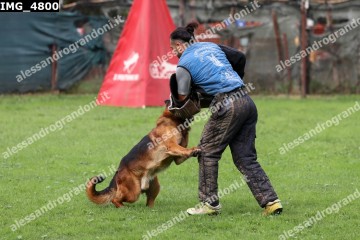 IMG_4800.jpg