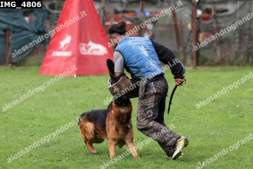 IMG_4806.jpg