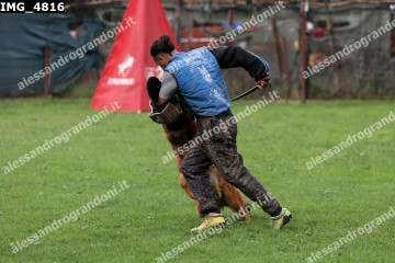 IMG_4816.jpg