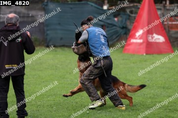 IMG_4820.jpg