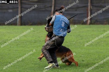 IMG_4831.jpg