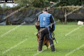 IMG_4887.jpg