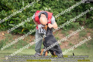 IMG_2995.jpg