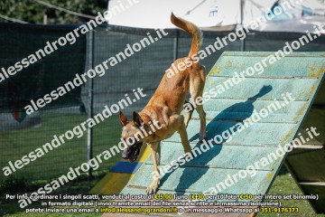_21A0708.jpg