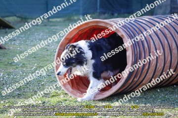 _21A0940.jpg