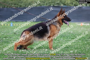 496A3908.jpg