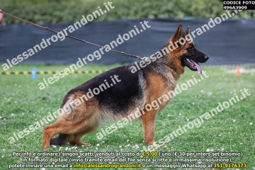 496A3909.jpg