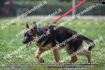 496A3978.jpg
