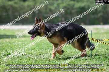 496A3982.jpg