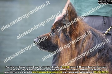 496A4034.jpg